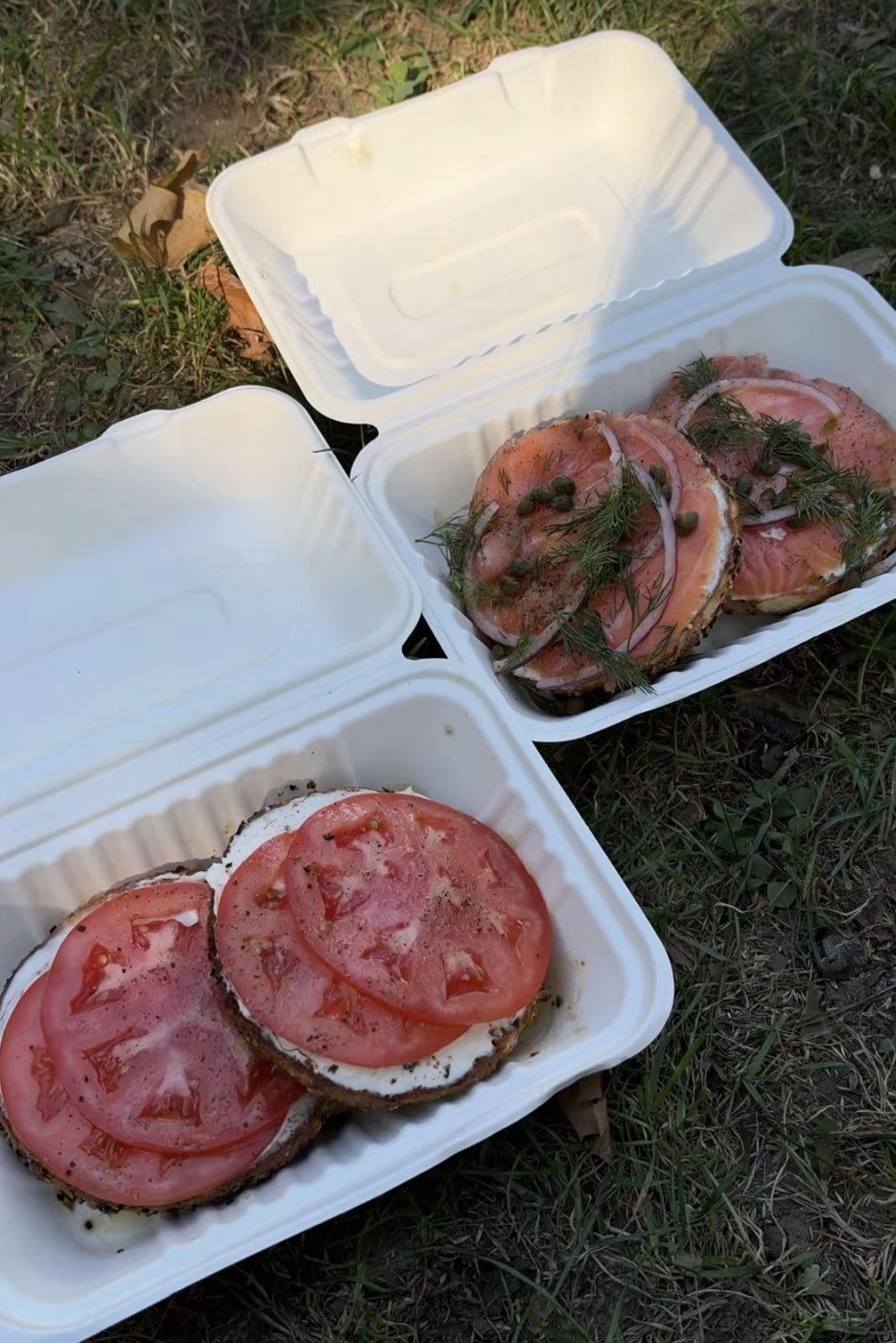 Bagels with tomato and smoked salmon on the grass