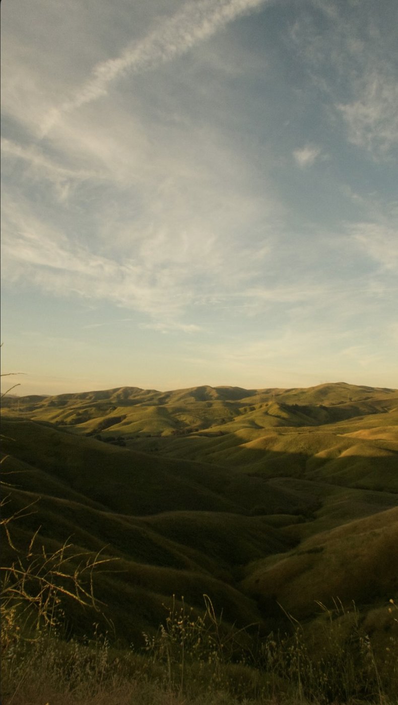 Rolling green hills in golden evening light